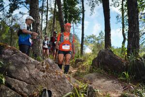 BIB: 
                            <button type="button" onclick="openModal(18958083)" class="btn btn-primary btn-sm float-right btn-popup" data-toggle="modal" data-target=".modal-high-quality">
                        <i class="fas fa-shopping-cart"></i> Add to Cart
                    </button>
                                            <button type="button" onclick="isThisMe(18958083, true)" class="btn btn-success btn-sm float-right btn-popup btn-isme hidden" data-toggle="tooltip" data-placement="bottom" title="นี่คือรูปของคุณใช่ไหม คลิกที่นี่เพื่อเอาเข้าอัลบั้ม">
                        <i class="fas fa-plus"></i> Add to album
                    </button>
                    <button type="button" onclick="isThisMe(18958083, false)" class="btn btn-warning btn-sm float-right btn-popup btn-isnotme hidden">
                        <i class="fas fa-ban"></i> Remove from album
                    </button>